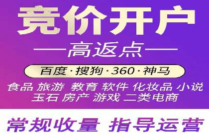 案例研究：信息流广告投放优化